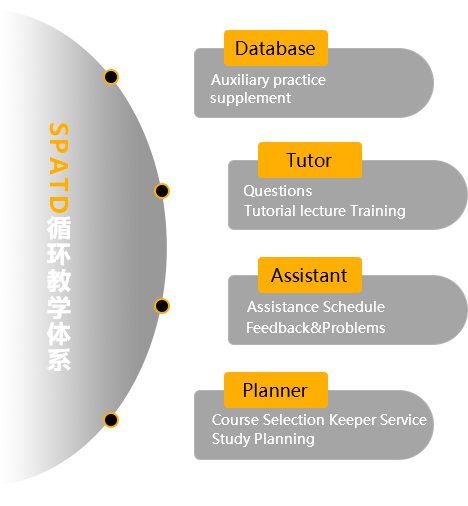 SPATD循环教学体系