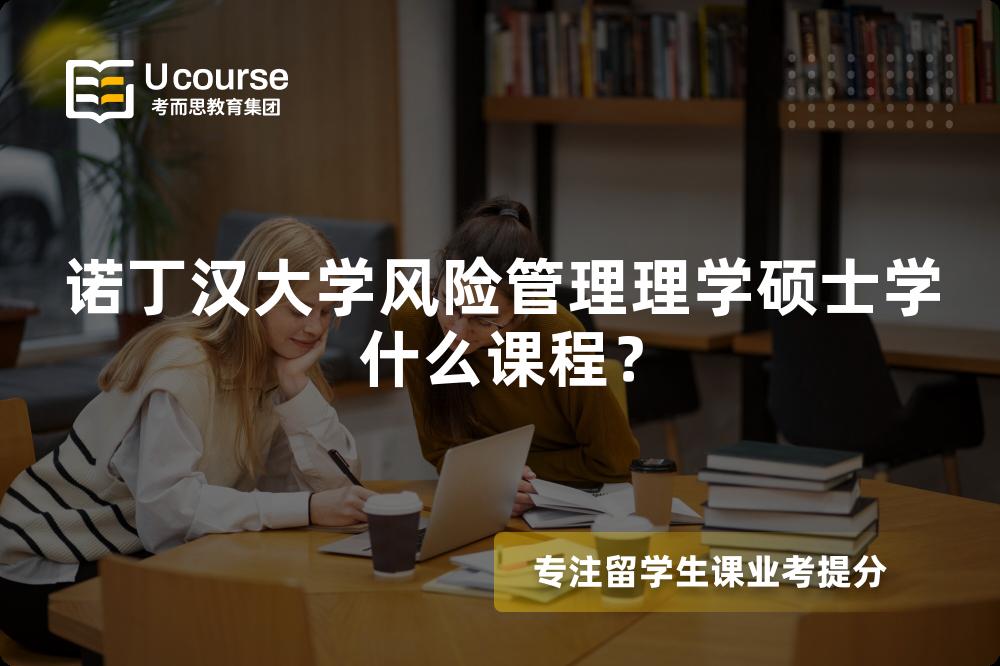 諾丁漢大學風險管理理學碩士學什么課程？