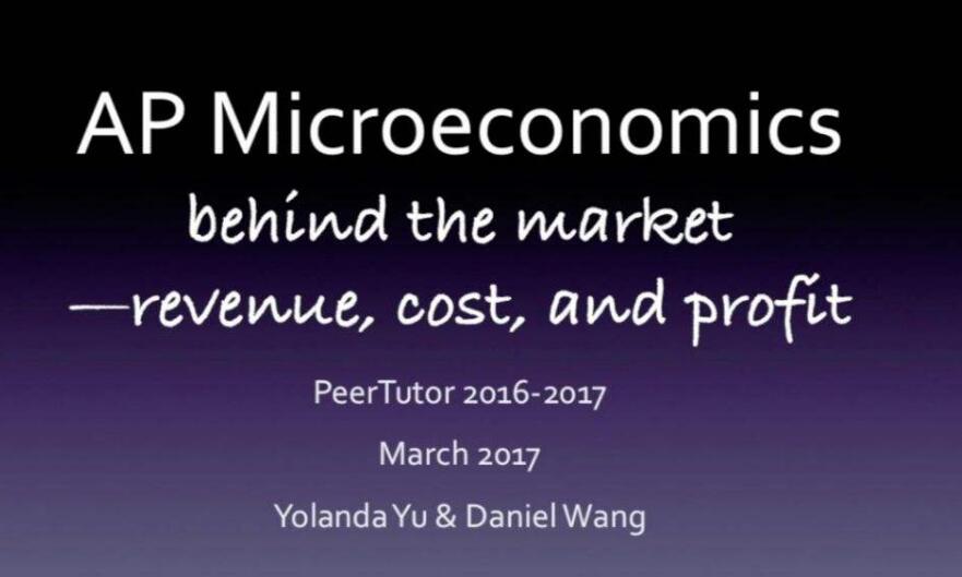 AP微观经济学Microeconomics一对一辅导