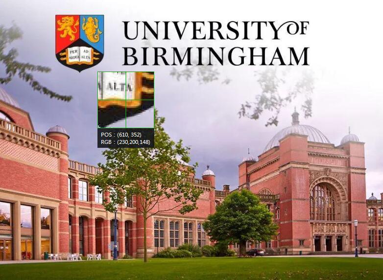 The university of Birmingham大四工商管理