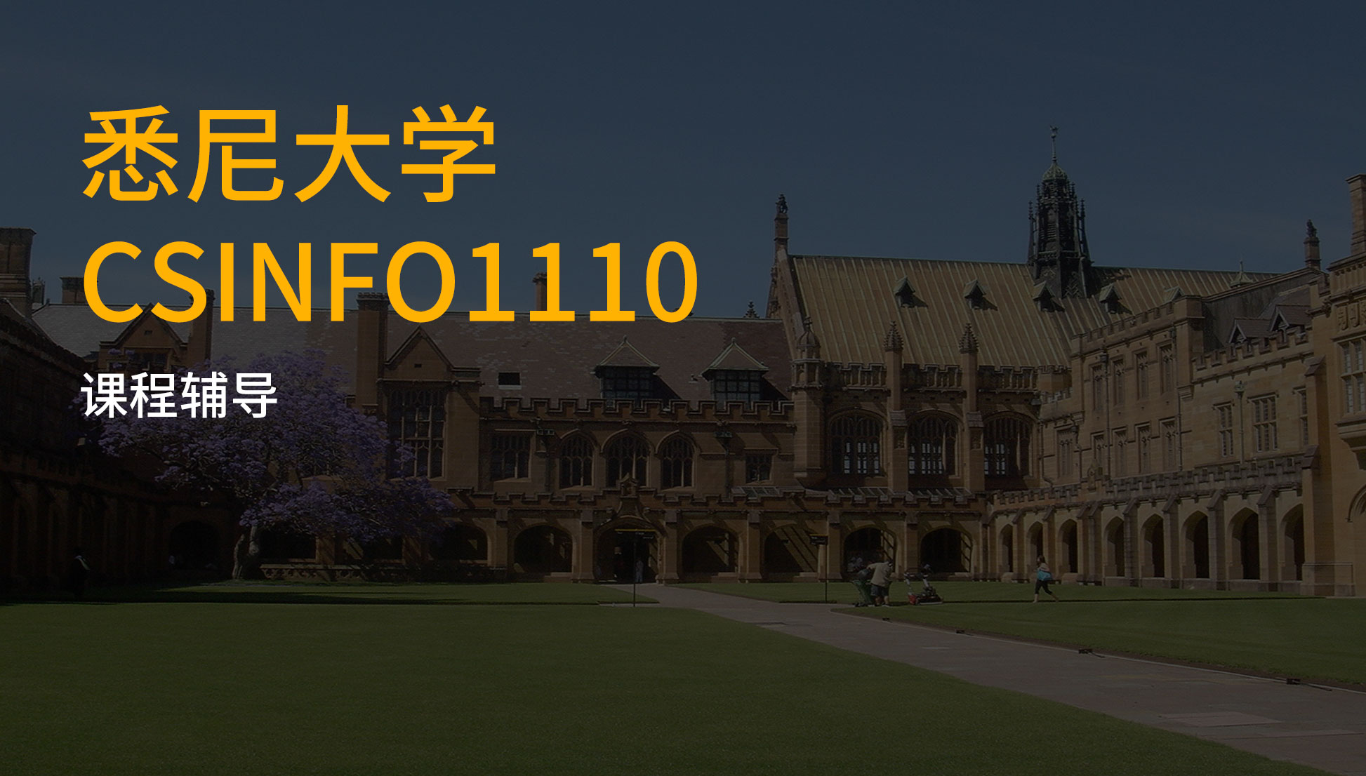悉尼大学CSinfo1110课程补习