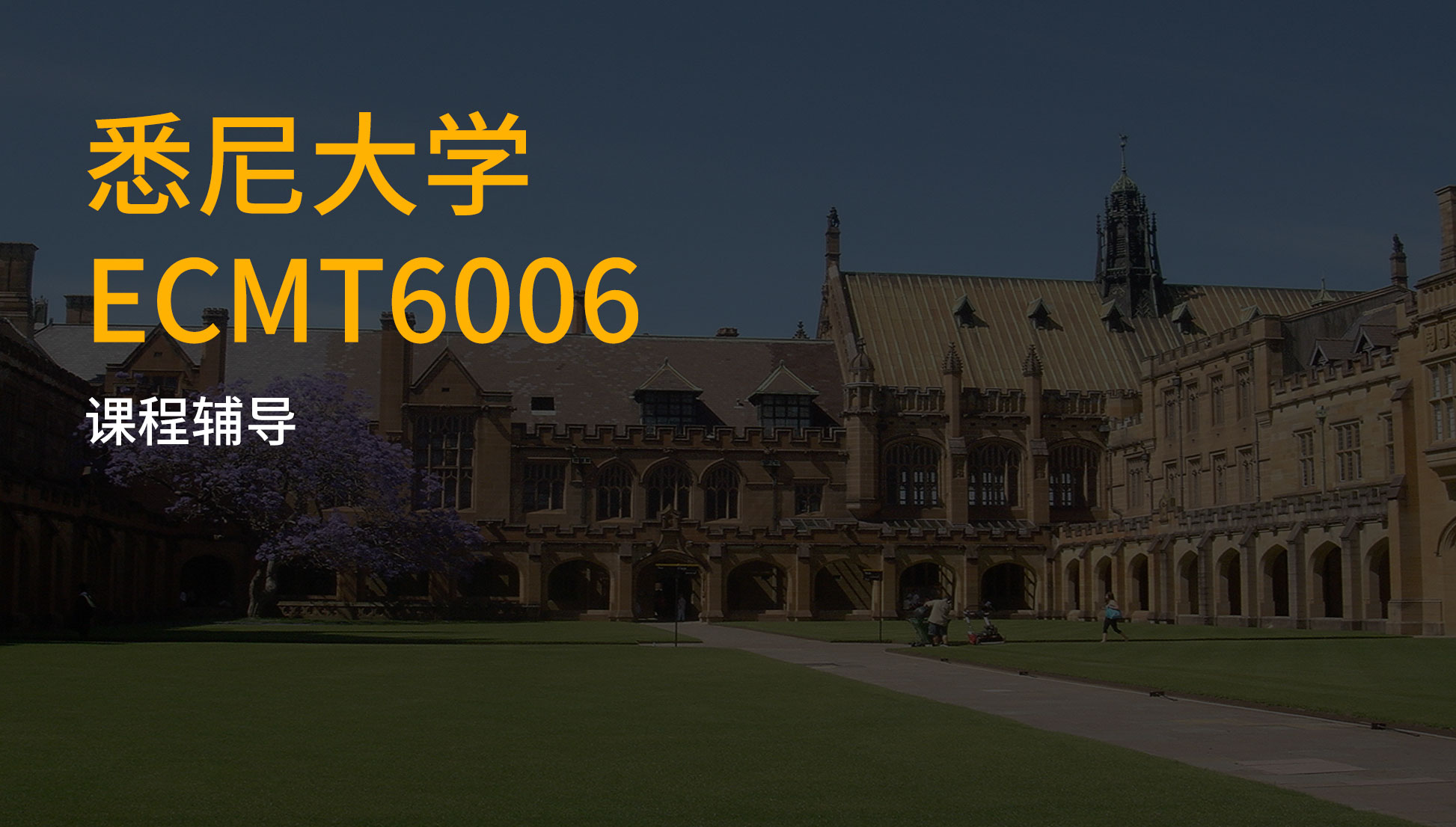 悉尼大学ECMT6006学习内容讲解