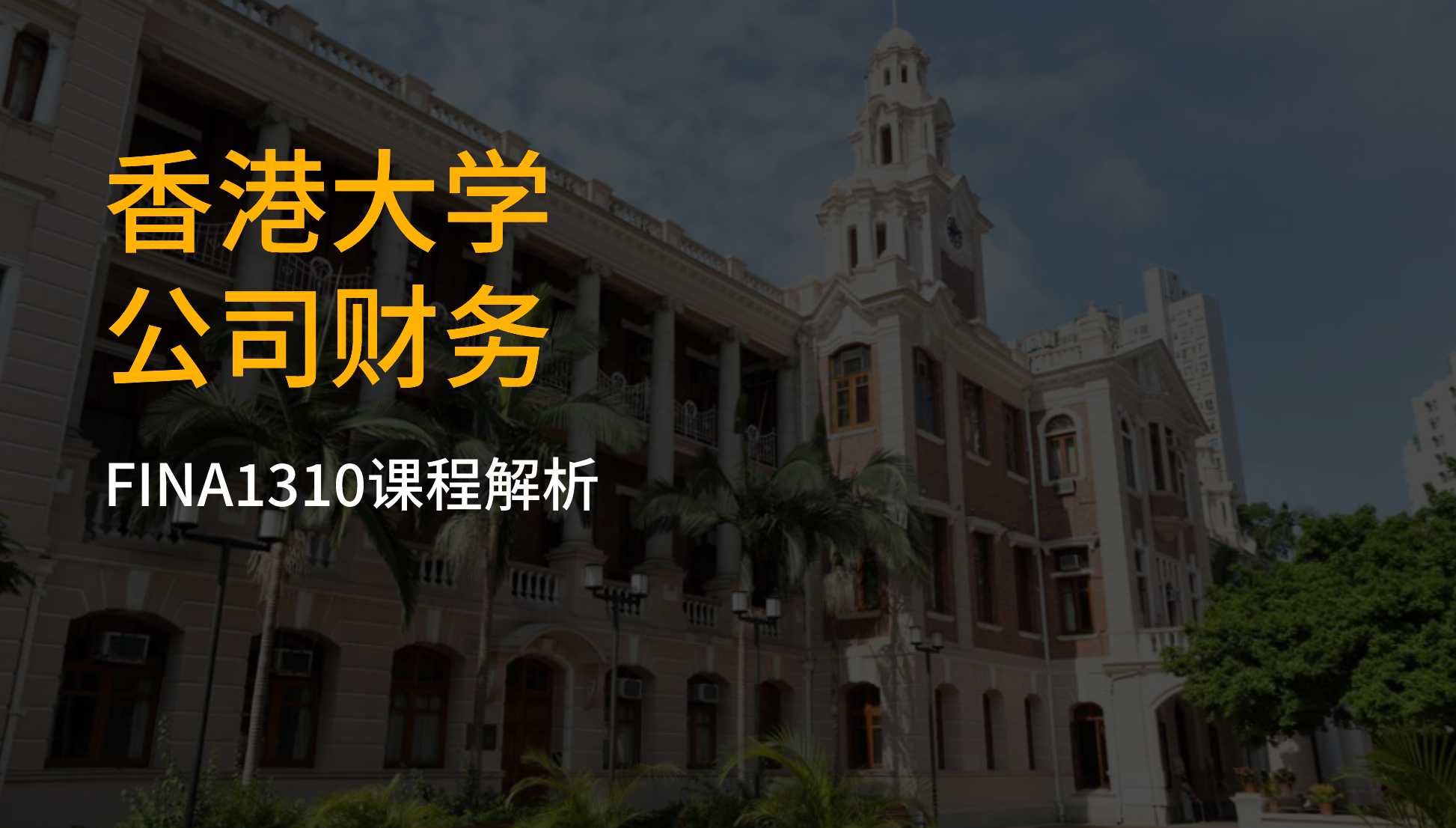 香港大学经济金融专业大一FINA1310公司财务课程解析