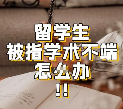 留学生找论文辅助指导算术不端吗？