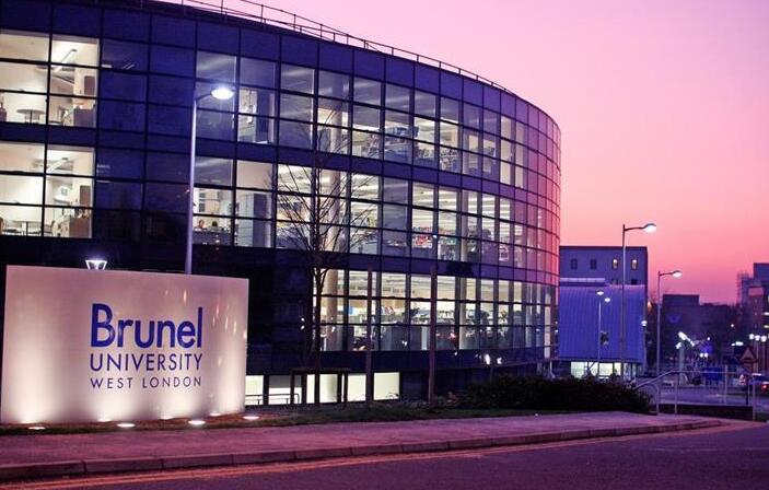 Brunel University大二Business and management(accounting)
