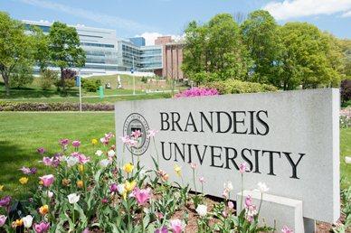 布兰迪斯大学Brandeis University课业辅导