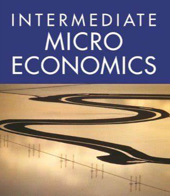 ECOS2001,中级微观经济学辅导