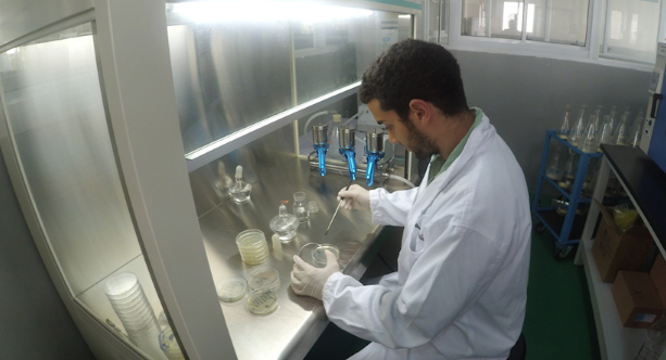 加拿大麦吉尔大学Food Science食品科学课程补习