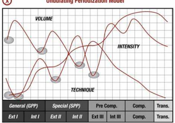 Linear model graph theory.png