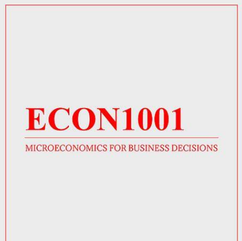 econ1001 Introductory Microeconomics课程详解