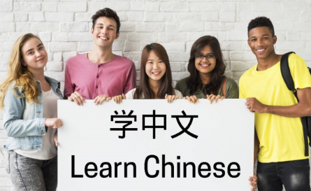 vce中文第二语言高级考试内容有哪些？