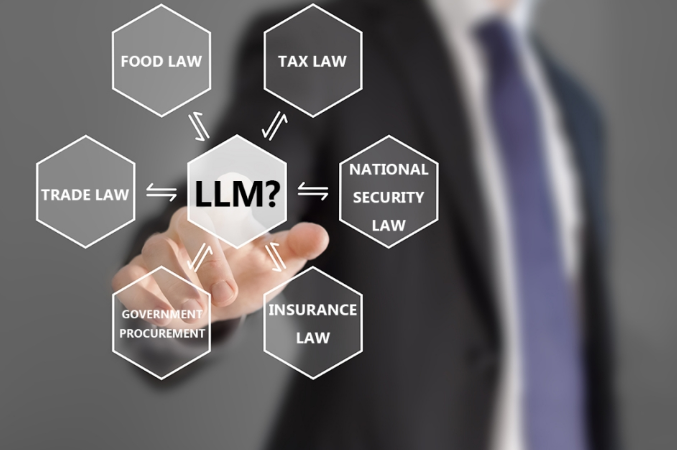 国立大学LLM