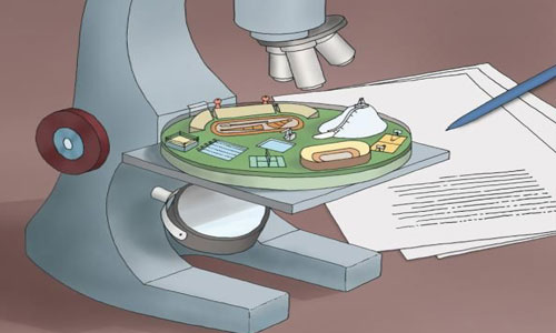 国际奥林匹克生物竞赛补习.jpg