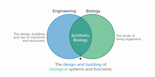 合成生物学Synthetic Biology