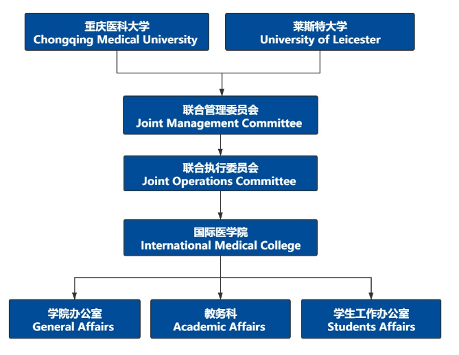 重庆医科大学国际医学院