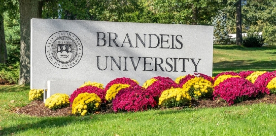 Brandeis University课业辅导