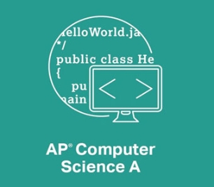 AP CSa计算机辅导