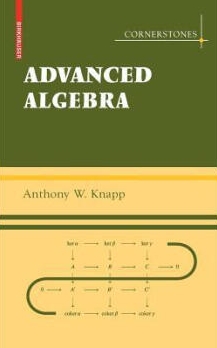 advanced algebra辅导