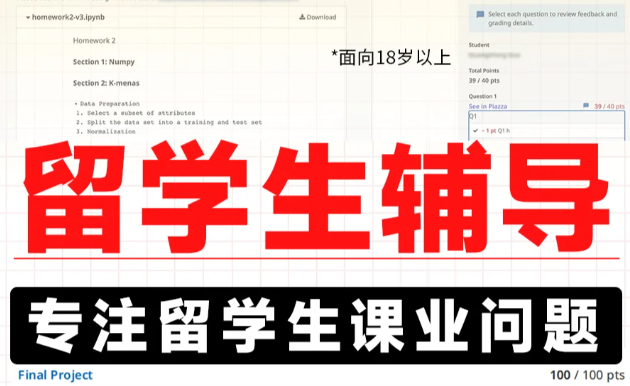 留學(xué)生輔導(dǎo).jpg