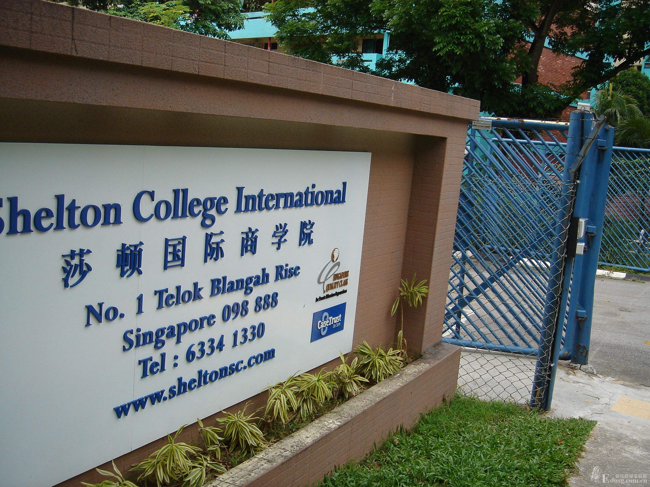 新加坡预科高等数学辅导
