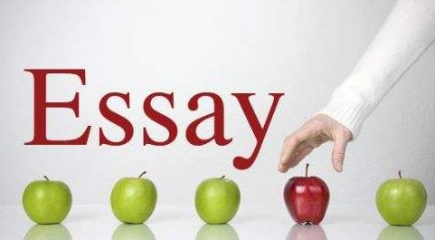 与essay相比，report结构的不同之处有哪些？