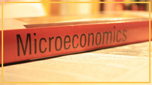 Alevel经济学中的微观经济学和宏观经济学.jpg